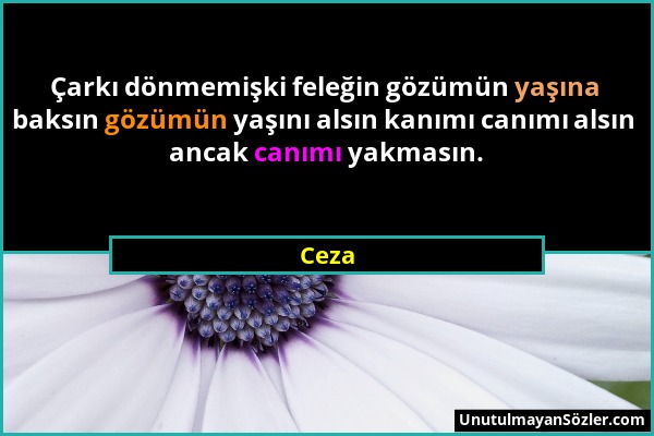 Ceza - Çarkı dönmemişki feleğin gözümün yaşına baksın gözümün yaşını alsın kanımı canımı alsın ancak canımı yakmasın....