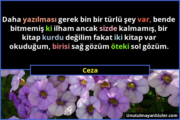 Ceza - Daha yazılması gerek bin bir türlü şey var, bende bitmemiş ki ilham ancak sizde kalmamış, bir kitap kurdu değilim fakat iki kitap var okuduğum,...