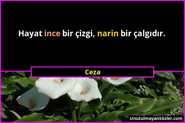 Ceza - Hayat ince bir çizgi, narin bir çalgıdır....