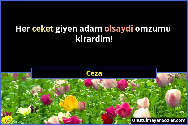 Ceza - Her ceket giyen adam olsaydi omzumu kirardim!...