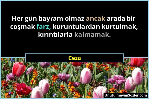 Ceza - Her gün bayram olmaz ancak arada bir coşmak farz, kuruntulardan kurtulmak, kırıntılarla kalmamak....