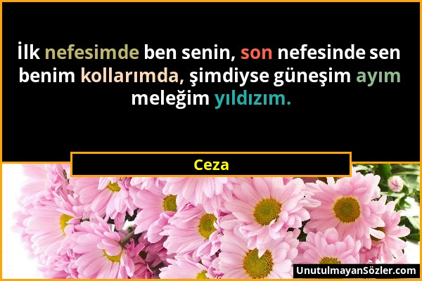 Ceza - İlk nefesimde ben senin, son nefesinde sen benim kollarımda, şimdiyse güneşim ayım meleğim yıldızım....