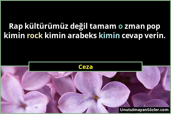 Ceza - Rap kültürümüz değil tamam o zman pop kimin rock kimin arabeks kimin cevap verin....