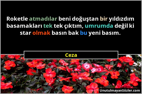 Ceza - Roketle atmadılar beni doğuştan bir yıldızdım basamakları tek tek çıktım, umrumda değil ki star olmak basın bak bu yeni basım....