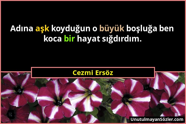 Cezmi Ersöz - Adına aşk koyduğun o büyük boşluğa ben koca bir hayat sığdırdım....