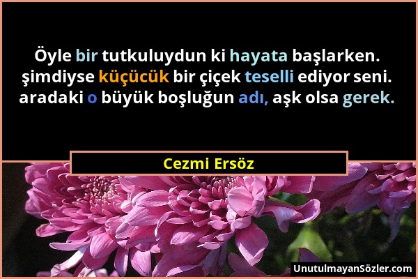 Cezmi Ersöz - Öyle bir tutkuluydun ki hayata başlarken. şimdiyse küçücük bir çiçek teselli ediyor seni. aradaki o büyük boşluğun adı, aşk olsa gerek....