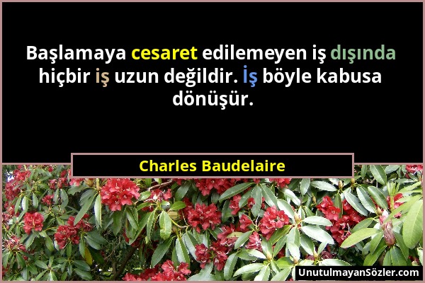 Charles Baudelaire - Başlamaya cesaret edilemeyen iş dışında hiçbir iş uzun değildir. İş böyle kabusa dönüşür....