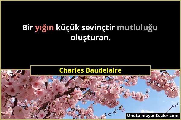 Charles Baudelaire - Bir yığın küçük sevinçtir mutluluğu oluşturan....