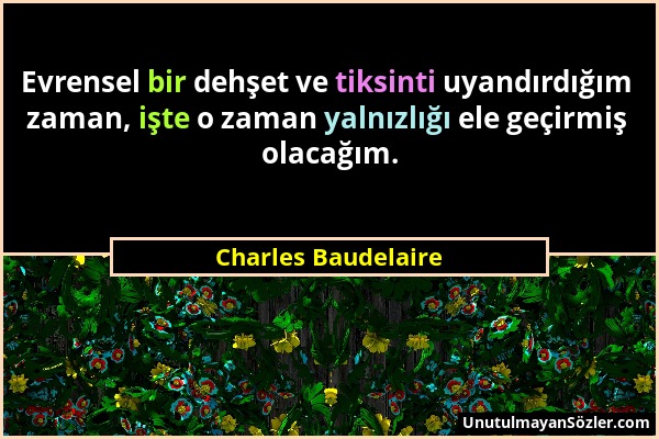 Charles Baudelaire - Evrensel bir dehşet ve tiksinti uyandırdığım zaman, işte o zaman yalnızlığı ele geçirmiş olacağım....