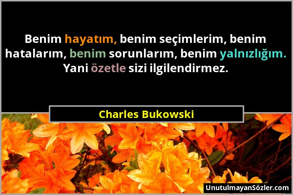 Charles Bukowski - Benim hayatım, benim seçimlerim, benim hatalarım, benim sorunlarım, benim yalnızlığım. Yani özetle sizi ilgilendirmez....