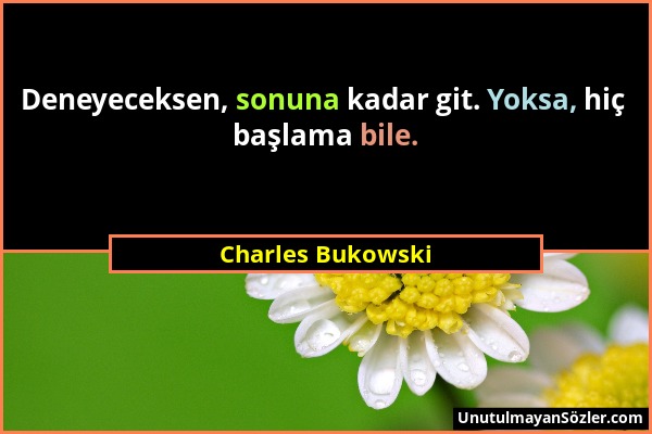 Charles Bukowski - Deneyeceksen, sonuna kadar git. Yoksa, hiç başlama bile....