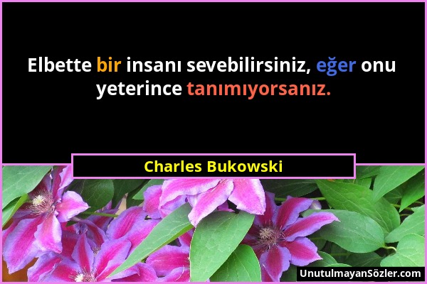 Charles Bukowski - Elbette bir insanı sevebilirsiniz, eğer onu yeterince tanımıyorsanız....