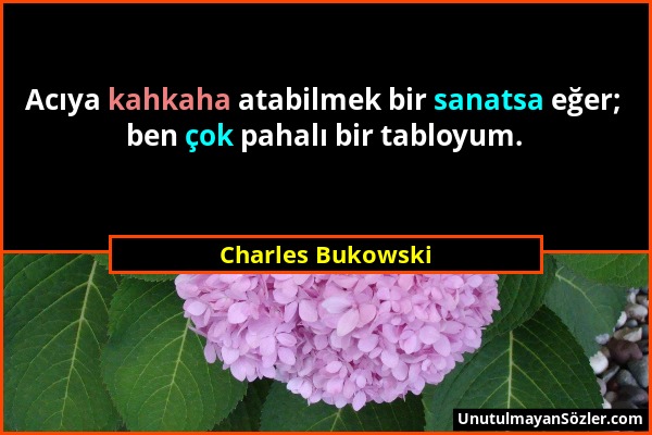 Charles Bukowski - Acıya kahkaha atabilmek bir sanatsa eğer; ben çok pahalı bir tabloyum....