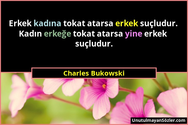Charles Bukowski - Erkek kadına tokat atarsa erkek suçludur. Kadın erkeğe tokat atarsa yine erkek suçludur....