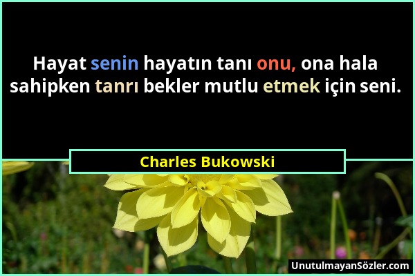 Charles Bukowski - Hayat senin hayatın tanı onu, ona hala sahipken tanrı bekler mutlu etmek için seni....