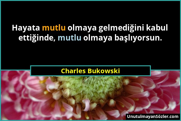 Charles Bukowski - Hayata mutlu olmaya gelmediğini kabul ettiğinde, mutlu olmaya başlıyorsun....