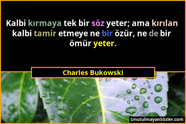 Charles Bukowski - Kalbi kırmaya tek bir söz yeter; ama kırılan kalbi tamir etmeye ne bir özür, ne de bir ömür yeter....