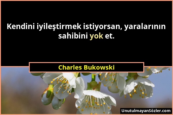 Charles Bukowski - Kendini iyileştirmek istiyorsan, yaralarının sahibini yok et....