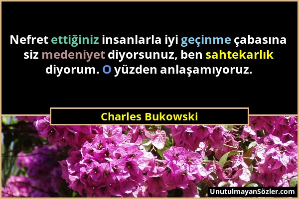 Charles Bukowski - Nefret ettiğiniz insanlarla iyi geçinme çabasına siz medeniyet diyorsunuz, ben sahtekarlık diyorum. O yüzden anlaşamıyoruz....