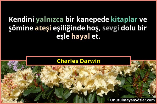 Charles Darwin - Kendini yalnızca bir kanepede kitaplar ve şömine ateşi eşiliğinde hoş, sevgi dolu bir eşle hayal et....