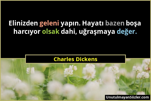 Charles Dickens - Elinizden geleni yapın. Hayatı bazen boşa harcıyor olsak dahi, uğraşmaya değer....