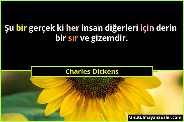 Charles Dickens - Şu bir gerçek ki her insan diğerleri için derin bir sır ve gizemdir....