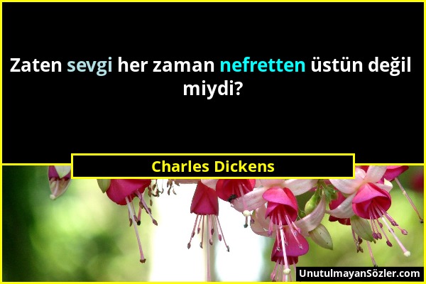 Charles Dickens - Zaten sevgi her zaman nefretten üstün değil miydi?...