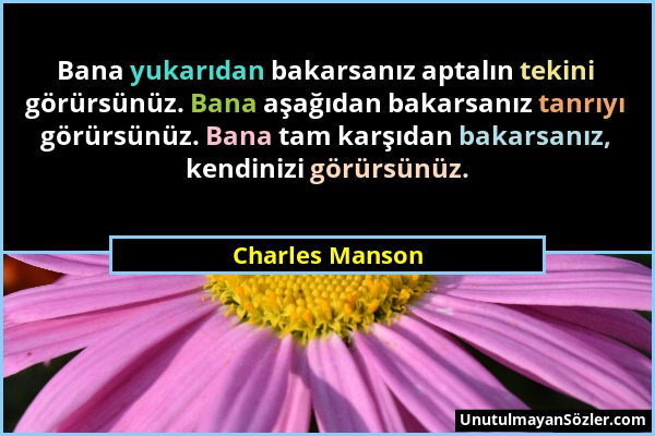 Charles Manson - Bana yukarıdan bakarsanız aptalın tekini görürsünüz. Bana aşağıdan bakarsanız tanrıyı görürsünüz. Bana tam karşıdan bakarsanız, kendi...