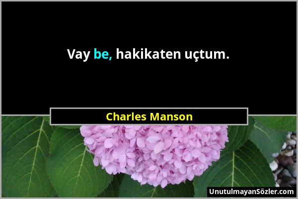 Charles Manson - Vay be, hakikaten uçtum....