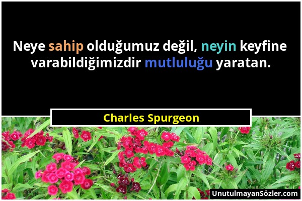 Charles Spurgeon - Neye sahip olduğumuz değil, neyin keyfine varabildiğimizdir mutluluğu yaratan....