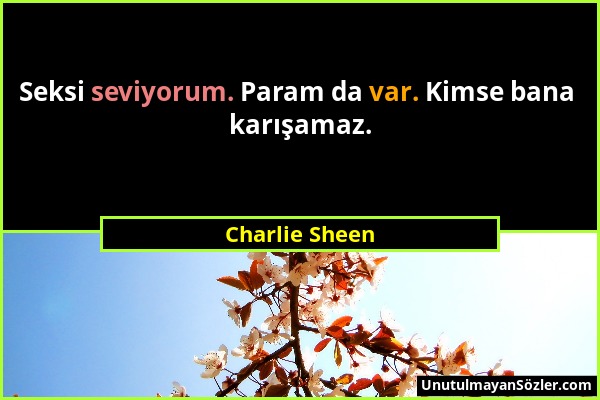 Charlie Sheen - Seksi seviyorum. Param da var. Kimse bana karışamaz....