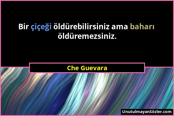 Che Guevara - Bir çiçeği öldürebilirsiniz ama baharı öldüremezsiniz....