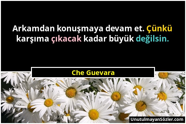 Che Guevara - Arkamdan konuşmaya devam et. Çünkü karşıma çıkacak kadar büyük değilsin....