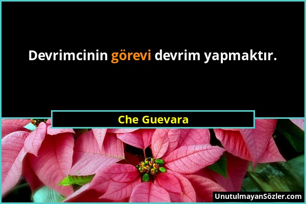 Che Guevara - Devrimcinin görevi devrim yapmaktır....