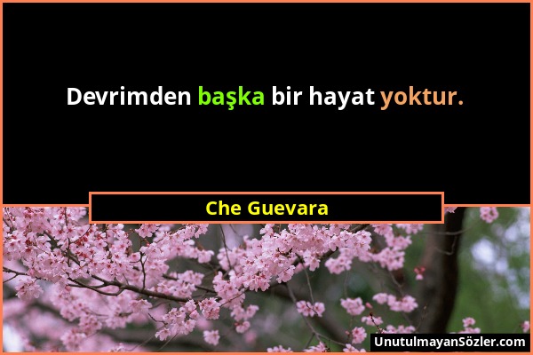 Che Guevara - Devrimden başka bir hayat yoktur....