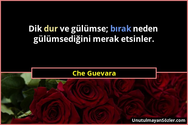 Che Guevara - Dik dur ve gülümse; bırak neden gülümsediğini merak etsinler....