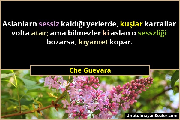 Che Guevara - Aslanlarn sessiz kaldığı yerlerde, kuşlar kartallar volta atar; ama bilmezler ki aslan o sesszliği bozarsa, kıyamet kopar....