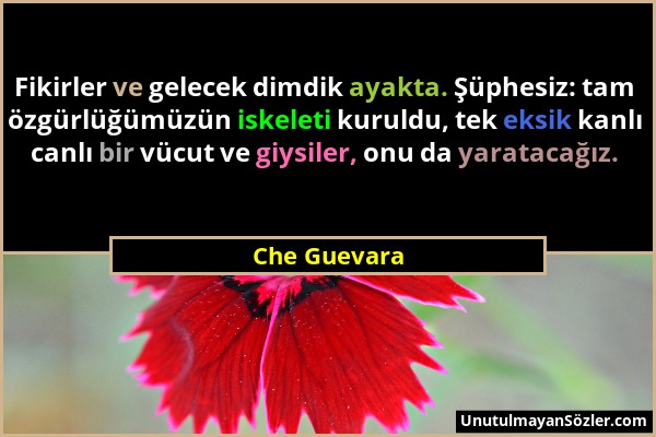 Che Guevara - Fikirler ve gelecek dimdik ayakta. Şüphesiz: tam özgürlüğümüzün iskeleti kuruldu, tek eksik kanlı canlı bir vücut ve giysiler, onu da ya...