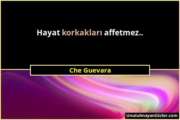 Che Guevara - Hayat korkakları affetmez.....