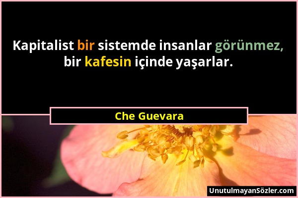 Che Guevara - Kapitalist bir sistemde insanlar görünmez, bir kafesin içinde yaşarlar....