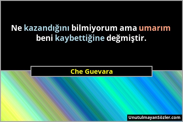 Che Guevara - Ne kazandığını bilmiyorum ama umarım beni kaybettiğine değmiştir....