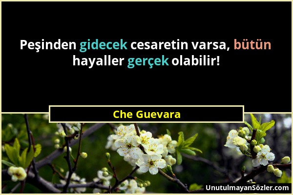 Che Guevara - Peşinden gidecek cesaretin varsa, bütün hayaller gerçek olabilir!...