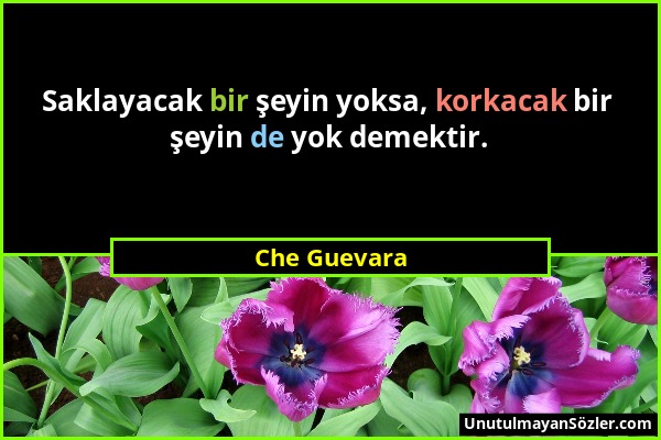 Che Guevara - Saklayacak bir şeyin yoksa, korkacak bir şeyin de yok demektir....