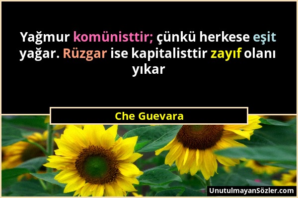 Che Guevara - Yağmur komünisttir; çünkü herkese eşit yağar. Rüzgar ise kapitalisttir zayıf olanı yıkar...