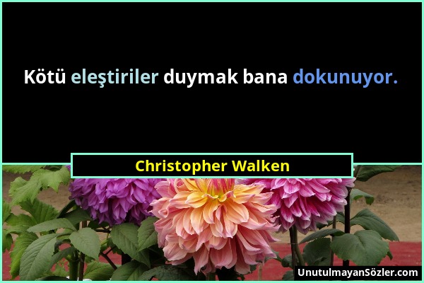 Christopher Walken - Kötü eleştiriler duymak bana dokunuyor....