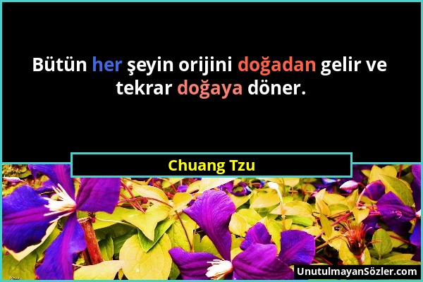 Chuang Tzu - Bütün her şeyin orijini doğadan gelir ve tekrar doğaya döner....