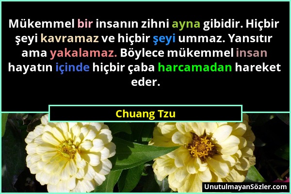 Chuang Tzu - Mükemmel bir insanın zihni ayna gibidir. Hiçbir şeyi kavramaz ve hiçbir şeyi ummaz. Yansıtır ama yakalamaz. Böylece mükemmel insan hayatı...