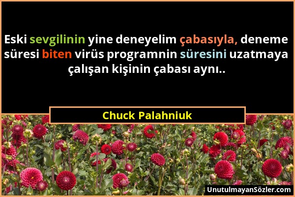 Chuck Palahniuk - Eski sevgilinin yine deneyelim çabasıyla, deneme süresi biten virüs programnin süresini uzatmaya çalışan kişinin çabası aynı.....