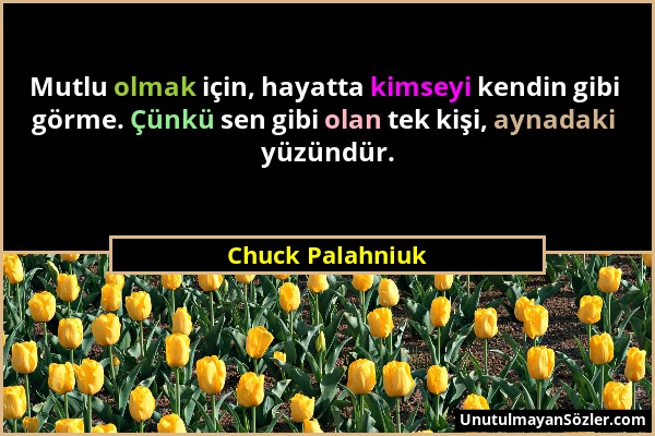 Chuck Palahniuk - Mutlu olmak için, hayatta kimseyi kendin gibi görme. Çünkü sen gibi olan tek kişi, aynadaki yüzündür....