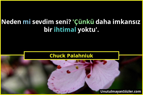 Chuck Palahniuk - Neden mi sevdim seni? 'Çünkü daha imkansız bir ihtimal yoktu'....
